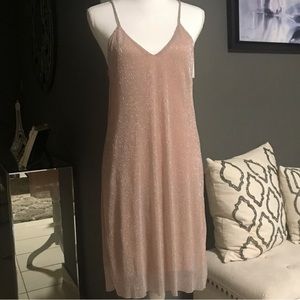 Shimmering Blush Pink Zara Mini Dress